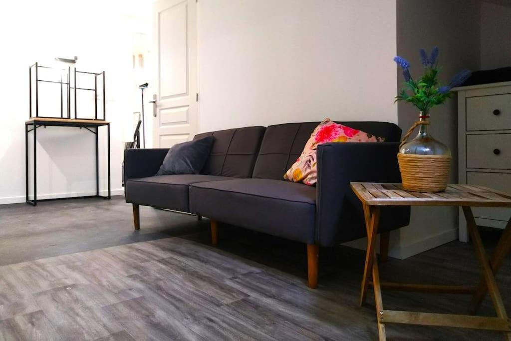 Le Cours Foucault - 3 Appartements - 8 Couchages 蒙托邦 外观 照片