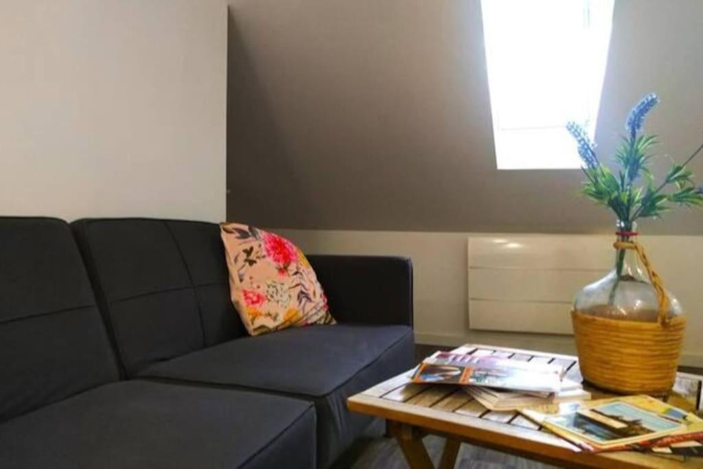 Le Cours Foucault - 3 Appartements - 8 Couchages 蒙托邦 外观 照片