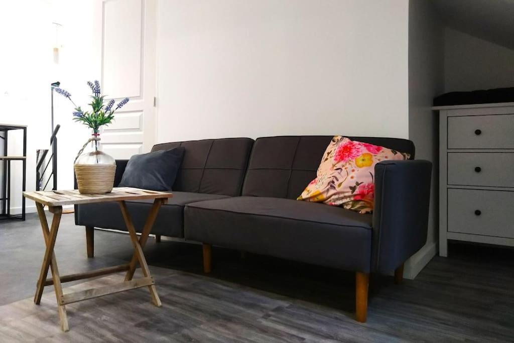 Le Cours Foucault - 3 Appartements - 8 Couchages 蒙托邦 外观 照片
