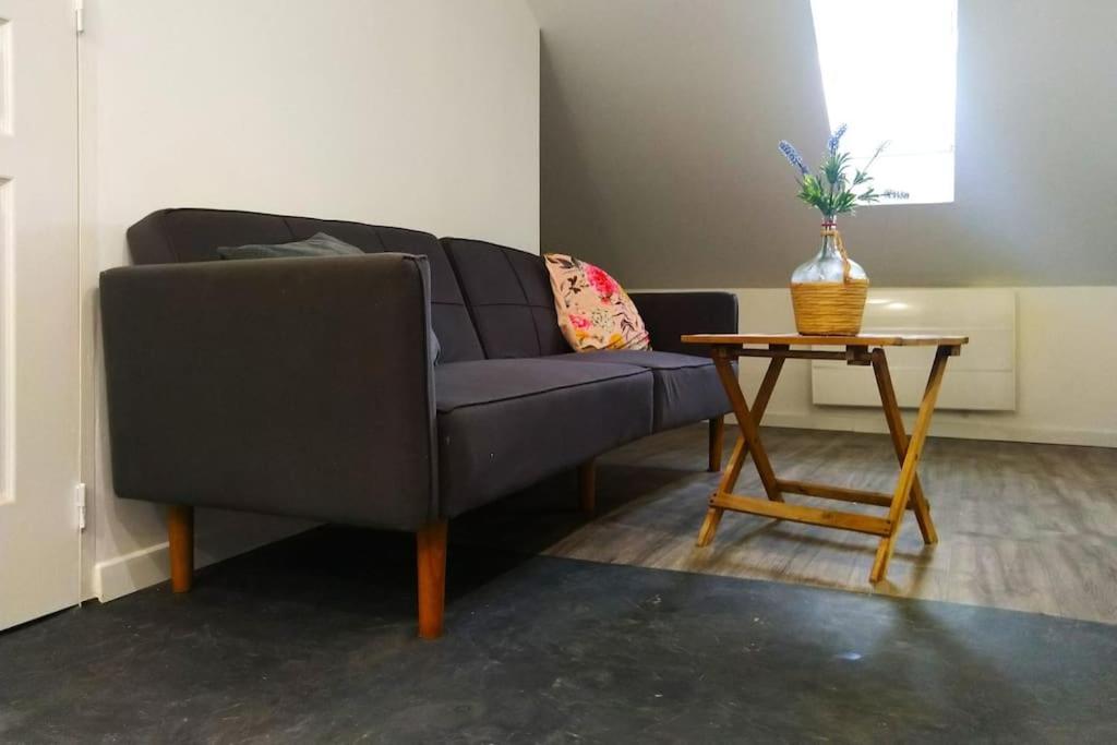 Le Cours Foucault - 3 Appartements - 8 Couchages 蒙托邦 外观 照片